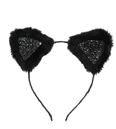 ACCESSORY